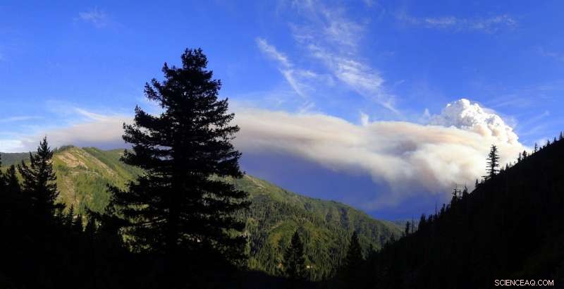 Wildfire Smoke Lowers River Temperatures, Reveals Unexpected Cooling Effect
