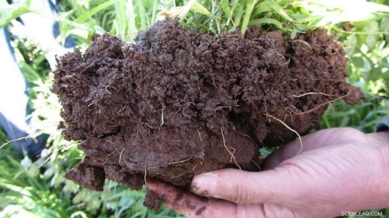 Boosting Soil Carbon: A Proven Solution to Protect Australian Farmers from Drought