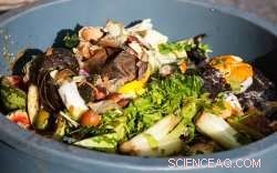 Sustainable Mineral Fertilizers from Biowaste: Efficient Nutrient Recovery