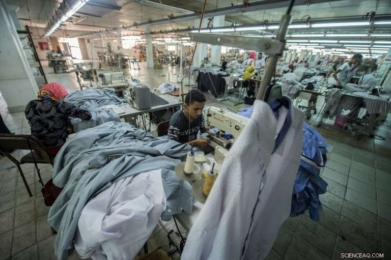 Egypt Aims to Revitalize Cotton Production