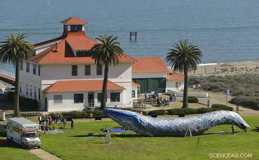 Massive Plastic Whale Installation Aims to Raise Ocean Pollution Awareness