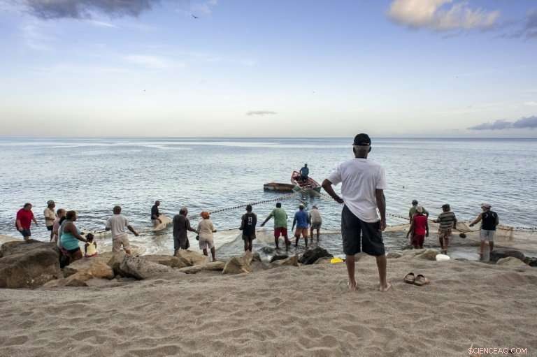Caribbean Nations to Measure Ocean Acidity Linked to Greenhouse Gas Emissions