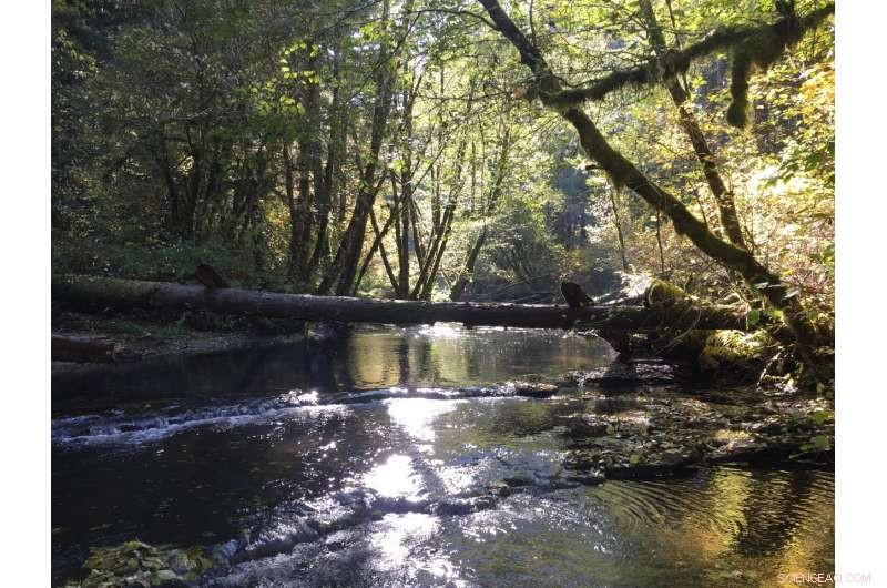 Study Confirms Watershed Groups Significantly Improve Local Water Quality