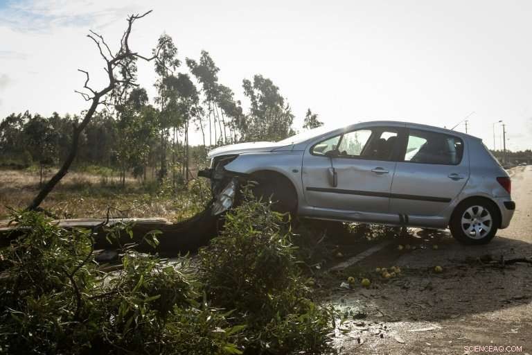 Storm Leslie Devastates Portugal: Massive Damage and Flooding
