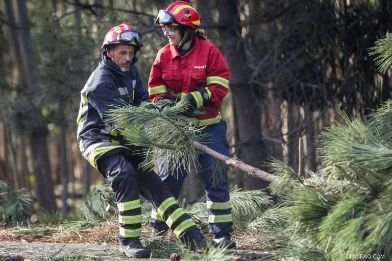 Storm Leslie Devastates Portugal: Massive Damage and Flooding