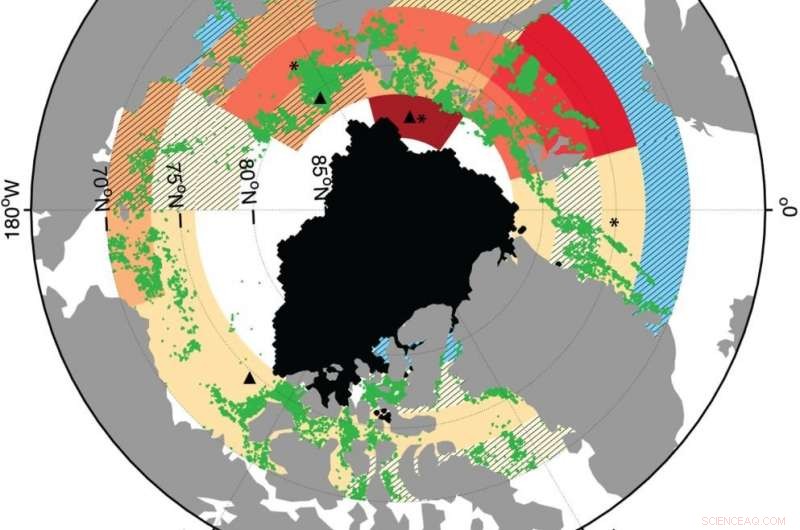 Arctic Ice Loss Drives Phytoplankton Blooms Northward