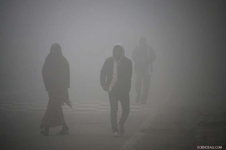 Delhi Prepares Emergency Plan to Combat Air Pollution