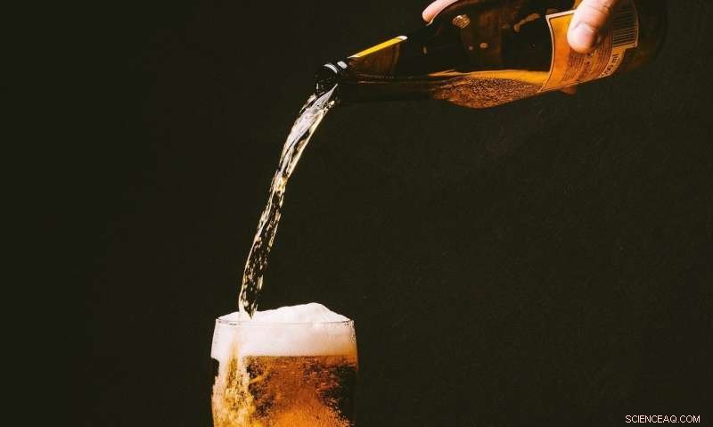 Future Weather Extremes Pose Serious Threat to Global Beer Supply