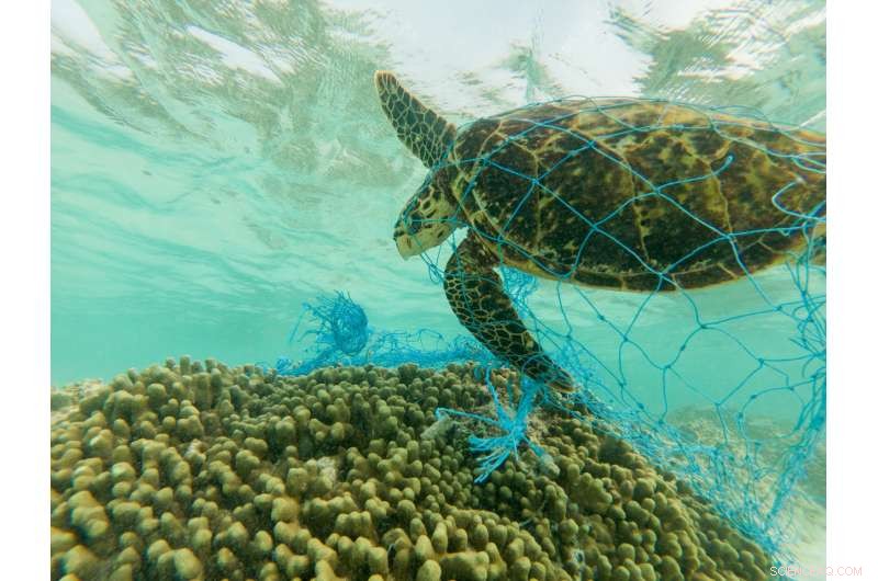 Entrepreneurs Innovate to End Ghost Fishing and Protect Marine Life