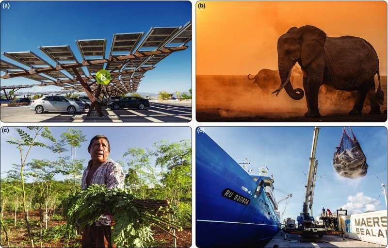 Can a Unified Development-Conservation Path Build a Brighter Future?