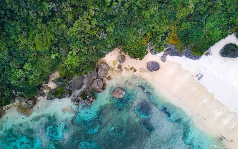 Can a Unified Development-Conservation Path Build a Brighter Future?