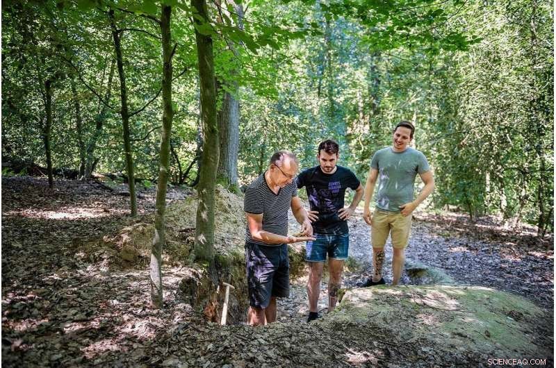 Unveiling the Hidden World Beneath the Forest Floor