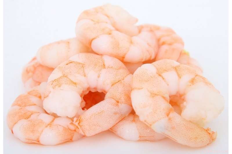 New Study Confirms Imported Farmed Shrimp Are as Safe as Other Seafood
