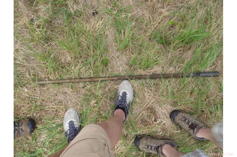 Exploring Soil Surfaces with Ground-Penetrating Radar