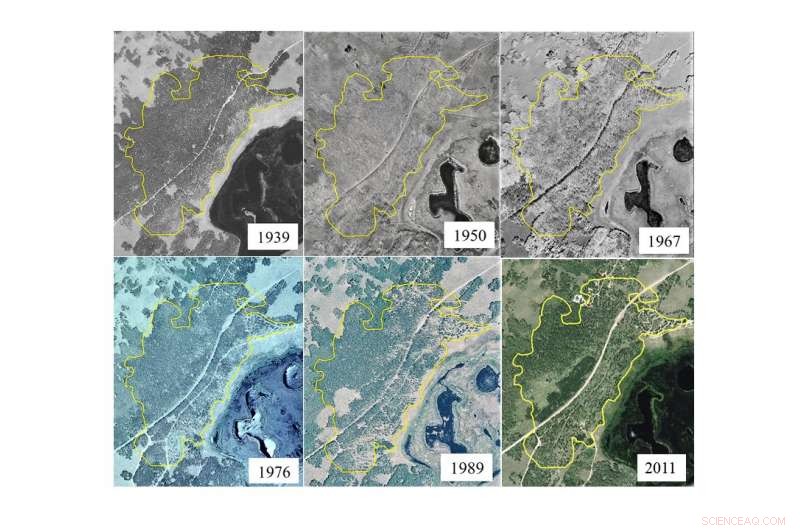 In-Depth Study of Pando Uncovers Serious Threats to the Aspen Clone