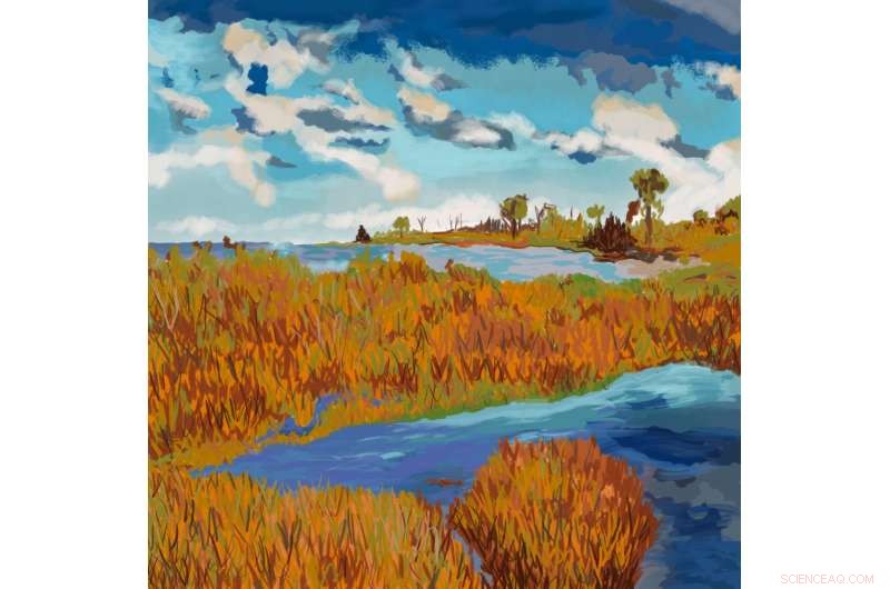 When Wetlands Dry: How Seasonal Shifts Affect Fogg Dam in Australia