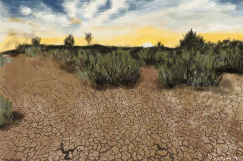 When Wetlands Dry: How Seasonal Shifts Affect Fogg Dam in Australia