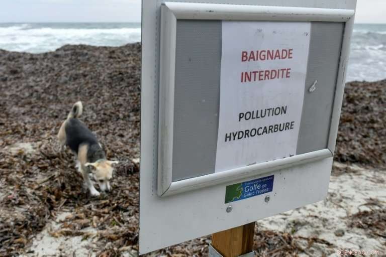 Saint‑Tropez Leads Thorough Cleanup After Mediterranean Oil Spill