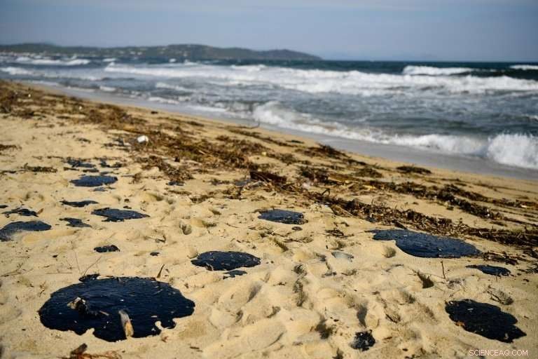 Saint‑Tropez Leads Thorough Cleanup After Mediterranean Oil Spill
