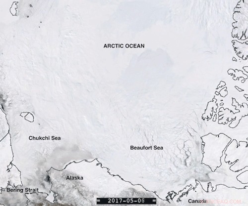 Arctic Ice Slows Beaufort Gyre, Limiting Major Ocean Current