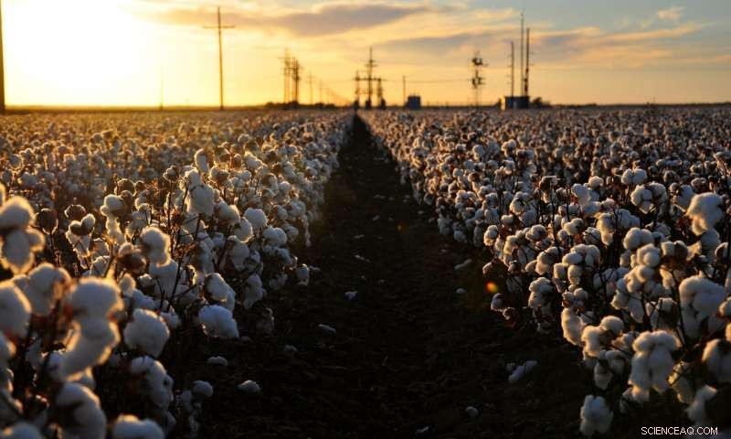 Reducing Plastic Microfibres: How Everyday Textiles Contribute to Marine Pollution