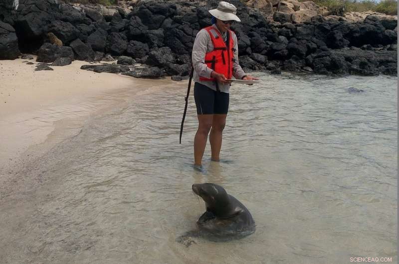 New Mineral Finds in the Galapagos Raise Questions About Their Origin and Formation