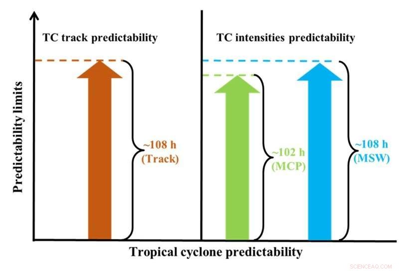 Assessing Predictability Limits of Tropical Cyclones in the Western North Pacific
