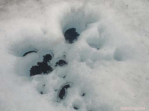 Rapidly Melting Glacier in China Attracts Tourists Amid Growing Climate Concerns