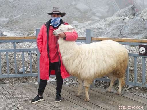 Rapidly Melting Glacier in China Attracts Tourists Amid Growing Climate Concerns