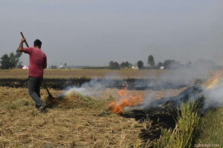 Delhi Holds Its Breath as Farm Fires Spark a Deadly Smog Season