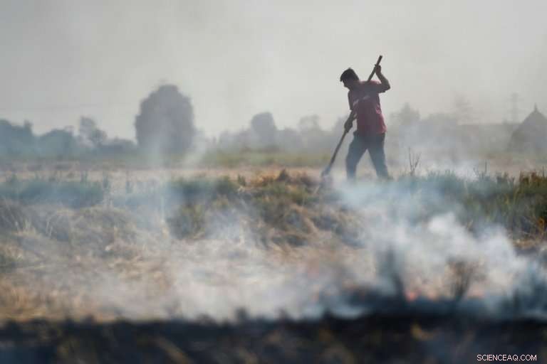 Delhi Holds Its Breath as Farm Fires Spark a Deadly Smog Season