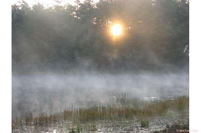 Study Reveals New Jersey s Stream Protection Nutrient Standard Is Unnecessarily Elevated
