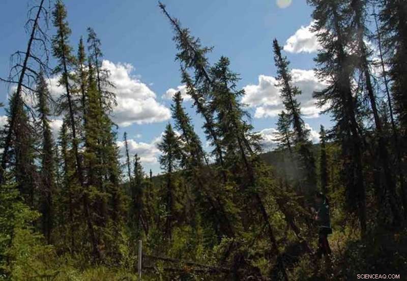 Alaska Residents Face Growing Climate Challenges