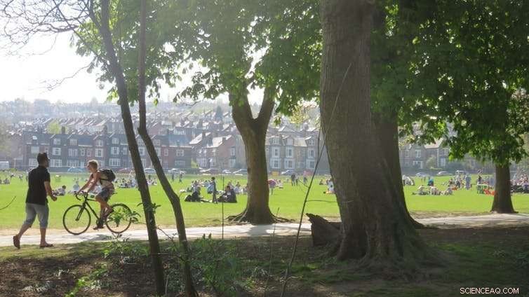 Investing in Green Spaces: A Proven Strategy to Reduce Loneliness