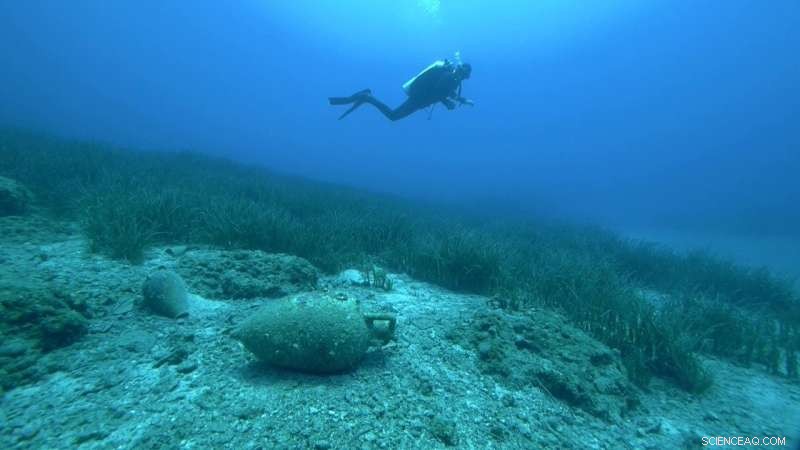 Seagrass Meadows: Unveiling the Underwater Time Capsule of Archaeology