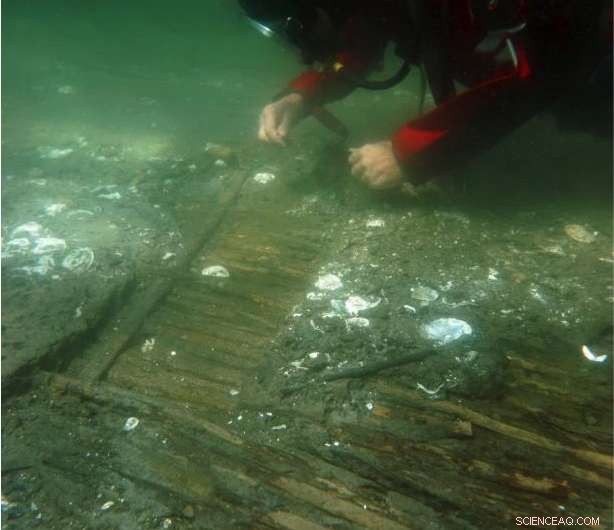 Seagrass Meadows: Unveiling the Underwater Time Capsule of Archaeology