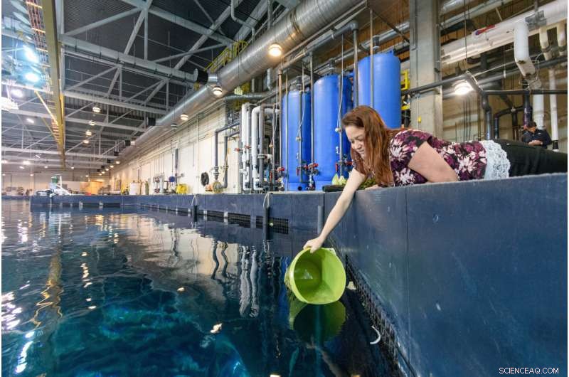 Diverse Bacterial Communities Purify Water in Georgia Aquarium’s Ocean Voyager Exhibit