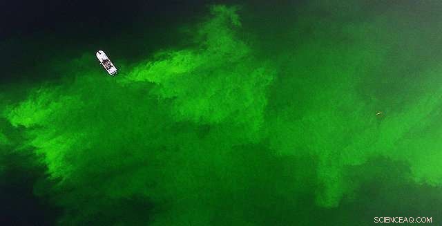 Testing an Undersea Robot for Detecting and Mapping Oil Spills