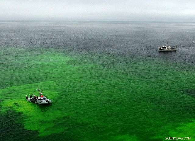 Testing an Undersea Robot for Detecting and Mapping Oil Spills