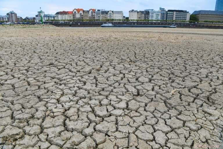 Severe Drought Severely Impacts German River Transport
