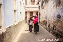 Unveiling African Urbanism: Insights from Spatial Logic