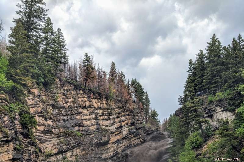 Soot-Soaked Rivers Signal Urgent Call for a National Wildfire Strategy