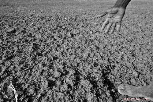 El Niño May Bring Drought Relief to Southwestern U.S., Climate Experts Say