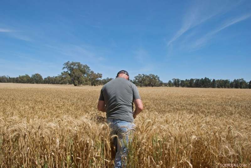 Beyond Quick Fixes: Strengthening Land for Long‑Term Drought Resilience