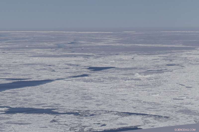 NASA IceBridge Flight Uncovers Two Rectangular Icebergs in Antarctic Peninsula