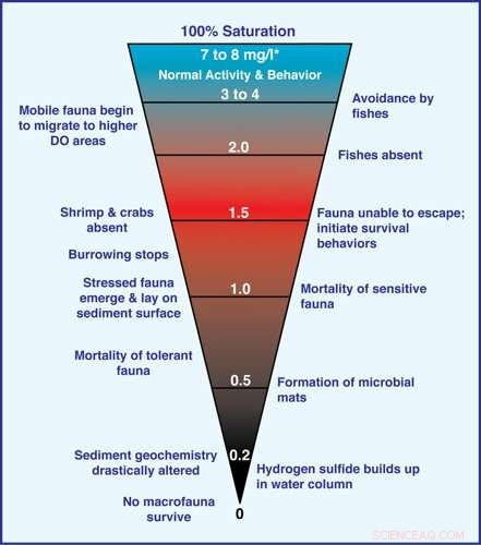 VIMS Releases Annual Dead‑Zone Report Card for Chesapeake Bay