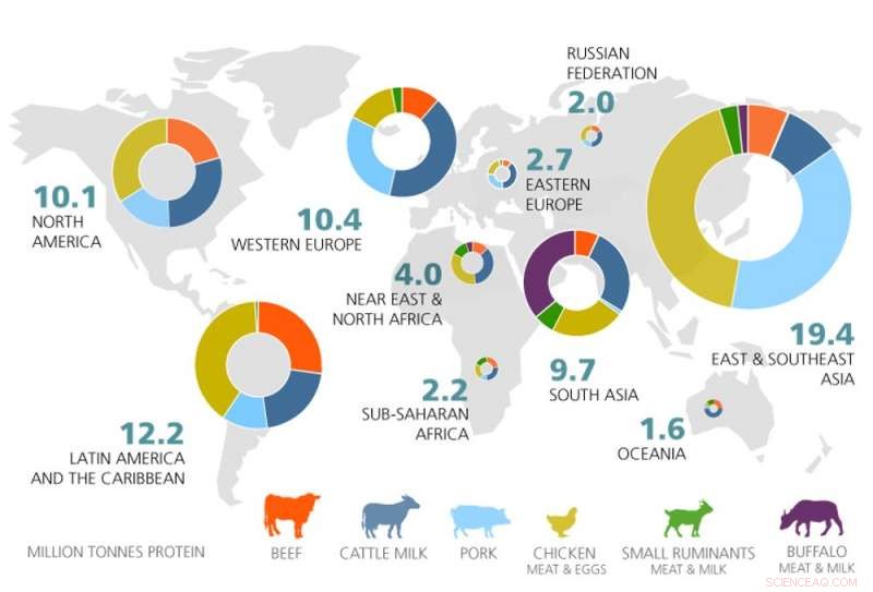 Meat Consumption and the Environment: The Role of Cattle in Climate Change