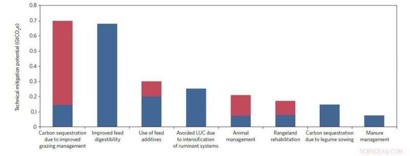 Meat Consumption and the Environment: The Role of Cattle in Climate Change