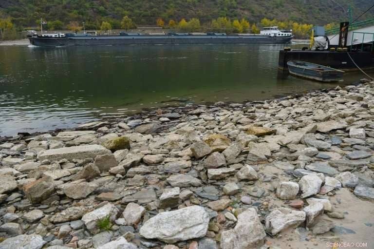 Germany Taps Strategic Oil Reserves as Drought‑Hit Rhine Disrupts Supply