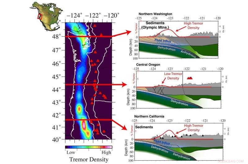 New Study Links Microseismic Activity to Water Dynamics at Cascadia Margin